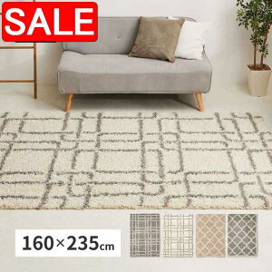 yX[p[SALE 73%OFFIz EBgO PW X 160×235cm EBgD 􉽊w xj VM[O   GWvg  kCǉ  ʓrς maru-2