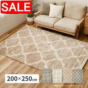 yX[p[SALE 71%OFFIz EBgO PW X 200×250cm EBgD 􉽊w xj VM[O   GWvg  kCǉ  ʓrς maru-2