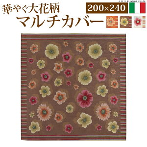 y|Cg5{IyVC[OXӍՁz C^A }`Jo[ 200x240cm }`Jo[ `  ꕔ͕ʓrς 61001046