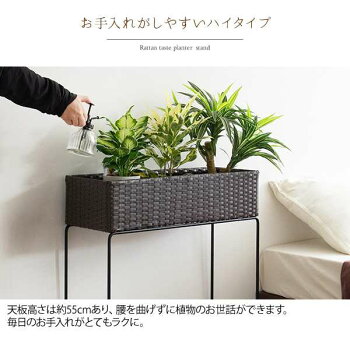 楽天市場 ラタン プランター スタンド Grand グラン 玄関先 インテリア 観葉植物 台 新生活 引越し 家具 北海道 沖縄 離島は別途追加送料見積もりとなります メーカー直送品 Ps 600 シルバーアクセサリーbaby Sies 楽天市場 ラタン プランター スタンド Grand グラン 玄関先 インテリア 観葉植物 台 新生活 引越し 家具 北海道 沖縄 離島は別途追加送料見積もりとなります メーカー直送品 Ps 600 シルバーアクセサリーbaby Sies