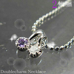 シルバー ネックレス アクセサリー 誕生石 ダイヤモンド リリー ツイントップ 2月 天然アメジスト シルバー925 スターリングシルバー E1546E1353-02