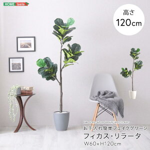 ȒP tFCNO[ tBJXE[^ STCY 120cm t lHϗtA Jo[sv  Aǋ V z Ƌ CeA ͗lւ SH-06-FIC-S