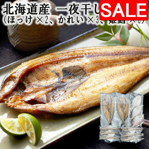 yX[p[SALE 10%OFFIz kCY 銱l iقx2 ꂢx3 PLx6j VNȋ̎|𓦂ʈ銱 fނ̗ǂlߍ킹