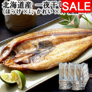 yX[p[SALE 10%OFFIz kCY 銱l iقx4 ꂢx4 PLx8j VNȋ̎|𓦂ʈ銱 fނ̗ǂlߍ킹