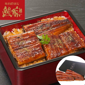 y|Cg5{I}\ԒIz Vy BY Ȃ 6 i Mtg 蕨 zs