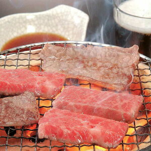 {苍 ē  800g i Mtg 蕨 zs