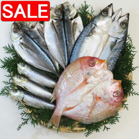【スーパーSALE 10%OFF！】 九州 一夜干し 4種セット れんこ鯛 真サバ 真アジ 真イワシ ご進物 ギフト 贈り物に 離島配送不可