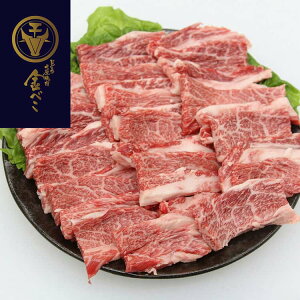 y|Cg5{I 28܂ŁIz  뎵Џē ׂ Oca ēp o500g i Mtg 蕨 zs