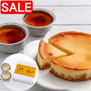 yX[p[SALE 10%OFFIz  kCxCNh`[YP[L v xCNh`[YP[L 4 x1 vx2 Z`[Y̖킢y߂xCNh`[YP[LƃN[`[Y