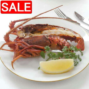 yX[p[SALE 10%OFFIz  ጎ VRɐCVXe[L 2 130g`150g jɂ͌ȂɐCV 𓀂邾ŏオ sṽZbgł i Mtg 蕨 