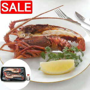 yX[p[SALE 10%OFFIz  ጎ ɐCVXe[L C 1n[tJbg2 180g`230g ɐCV_Ci~bNɃXe[LɎdグ܂ \[XĂオ肭 i