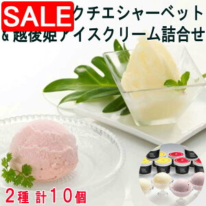 yX[p[SALE 10%OFFIz V  N`GV[xbg & zPACXN[ l V̓Yïmgp 荂dグV[xbg VŶ𑊐̗ǂ