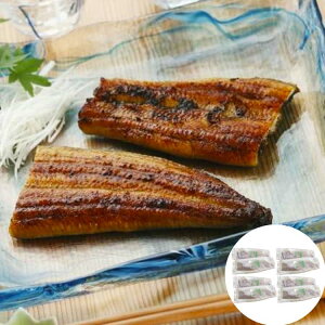 y|Cg5{IubNtCf[Iz É ÉĂȂ 120gx8 ŶȂƂ_V^łƏĂグ܂ i Mtg 蕨 zs