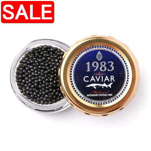 yX[p[SALE 10%OFFIz {LrA 1983 12gx2 {LrA1983͎o΂̃V`EU̐VNȗ≖݂̂ŖtntbVLrAł tXg