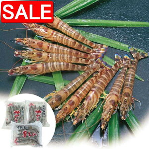 yX[p[SALE 10%OFFIz F{  N YⓀԊCV A ԊCVx3pbN 1pbN 5 v100g 𓀂 ⓀO̊Ɠg NxŒ ߂ł܂ i