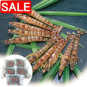 yX[p[SALE 10%OFFIz F{  N YⓀԊCV C ԊCVx5pbN 1pbN 5 v100g 𓀂 ⓀO̊Ɠg NxŒ ߂ł܂ i