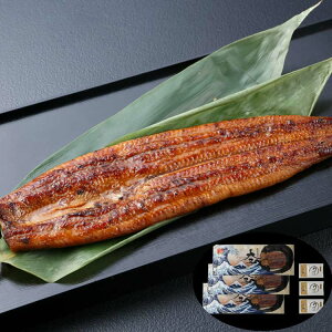 うなぎ問屋の大五 鰻蒲焼 長蒲焼3尾セット 計360g 中までしっかり焼き込める遠赤外線と香ばしさを引き出す近赤外線を組み合わせた独自の炙り焼き製法 2018モンドセレクション金賞受賞 ご進