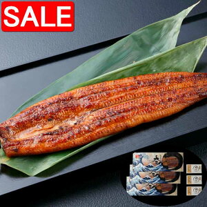 yX[p[SALE 10%OFFIz Ȃ≮̑ V 3Zbg v360g ܂łĂ߂鉓ԊOƍ΂oߐԊOgݍ킹ƎtĂ@ 2018hZ