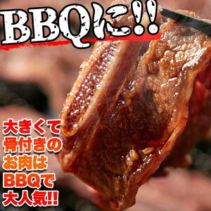 Ɩp t Jr V[gu ǂ 1kg t| yY v[g i Mtg 蕨 NK00000074