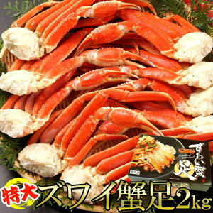 ���� �Y���C�I�� 2kg �v���v���H�� 2L�`3L�̓���T�C�Y �@�ׂȖ��E�H�ׂ��������Ƀo�����X�̎��Ă���I�ł� ��l4�l�O��ł������オ�肢�������܂� ���i�� �M�t�g ���蕨��