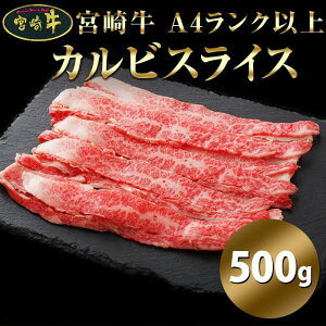 {苍 A4Nȏ JrXCX 500g јa {茧oϘAwX̂Ȃ yY v[g i Mtg 蕨 NK00000107