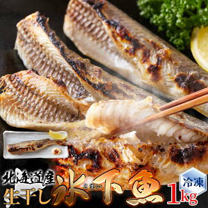y|Cg5{I13܂ŁIz  X ܂ 1kg {kC̖ ĂkC{̖I kCY̕Xw܂x𐶊ɂkC̒ԃj[ i Mtg 蕨