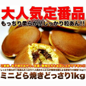 【訳あり】 もっちり ミニ どら焼き どっさり 1kg！ しっとり柔らか☆粒あんたっぷり 手土産 プレゼント ご進物 ギフト 贈り物に SM00010028