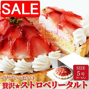 yX[p[SALE 10%OFFIz Ⓚ Xgx[ ^g 5 C`Sς ґ yY v[g i Mtg 蕨 SM00010084