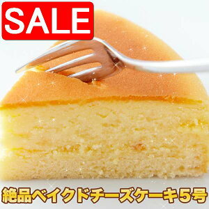 yX[p[SALE 10%OFFIz Ⓚ i xCNh `[Y P[L 5 yY v[g i Mtg 蕨 SM00010090