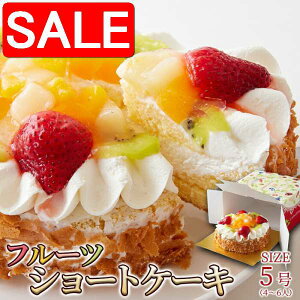 yX[p[SALE 10%OFFIz Ⓚ t[c V[g P[L 5 FƂǂ̃t[cՂgbsO yY v[g i Mtg 蕨 SM00010771