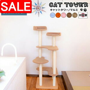 yX[p[SALE 10%OFFIz Lbg^[ Y Marumi }~ { u^ Â łȍ\ ^ꂵɂ CeA  X RpNg  ^s ܂Ƃ 