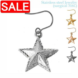 yX[p[SALE 50%OFFIz nCAWG[ T[WJ XeX ANZT[ 316L X^[ tbN^Cv sAX 1 fB[X Y  AM[t[ LO ×pXe