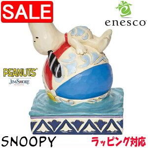 yX[p[SALE 10%OFFIz Xk[s[ I r[`{[ SNOOPY tBMA yJIM SHOREz u CeA enesco GlXR RNV lC uh Mtg 蕨 v[g 6007935
