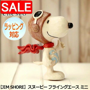 yX[p[SALE 10%OFFIz Xk[s[ tCOG[X ~j tBMA yJIM SHOREz u CeA enesco GlXR s[ibc Peanuts lC LN^[ ObY l IuWF 6001295