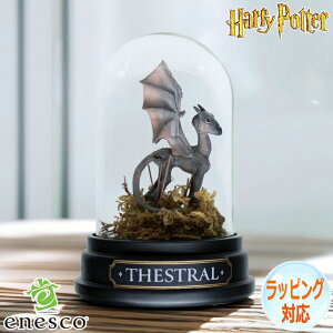 y|Cg5{I}\ԒIz ZXg u Mtg CeA fBXvC RN^[YACe KAi GlXR enesco n[ |b^[ Harry Potter 6009915