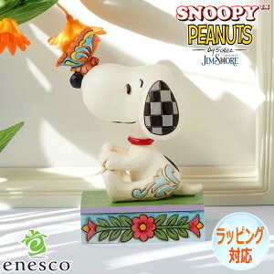 Xk[s[ o^tC I m[Y tBMA u l` LN^[ WVA Mtg CeA RN^[YACe KAi JIM SHORE s[ibc SNOOPY PEANUTS enesco GlXR 6016264