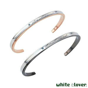 y|Cg5{IyVC[OXӍՁz zCgN[o[ white clover yA oO \ i u[_Ch AM[t[ T[WJXeX316L sNubN 4SBG02