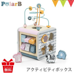 PolarBi|[[r[j ANeBreB{bNX b ؂̂ ؐߋ mߋ [sO G킹  ^͂ H v[g oYj ؐgC ubN 