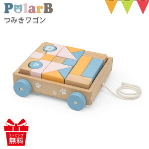 PolarBi|[[r[j ݂S | ςݖ mߋ Ԃ  ߋ a v[g  pt_toy
