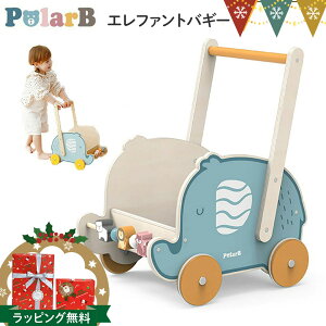 PolarBi|[[r[j Gt@goM[ | 艟 J^J^ ᔠ gC{bNX Ԃ  ߋ a v[g