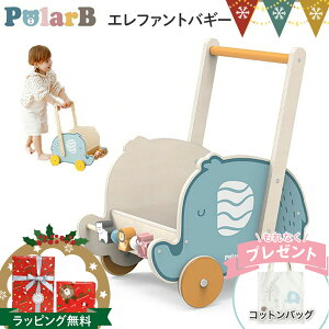 _RbgobOt^PolarBi|[[r[j Gt@goM[ | 艟 J^J^ ᔠ gC{bNX Ԃ  ߋ a v[g