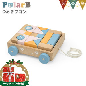 PolarBi|[[r[j ݂S | ςݖ mߋ Ԃ  ߋ a v[g  pt_toy