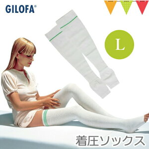 yQȂނ݉IÊF̒\bNXIz Mt@ Rvb\ tBNXT|[^[ zCg