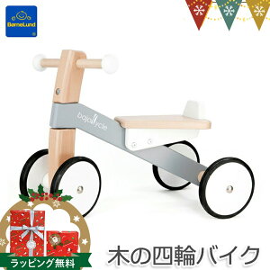 {[lh BAJOioj ؂̎lփoCN b@pߋ@O֎ԁ@͂߂Ă̎OփoCN aj oYj Mtg 蕨 NX}XMtg j wjy{[lh{