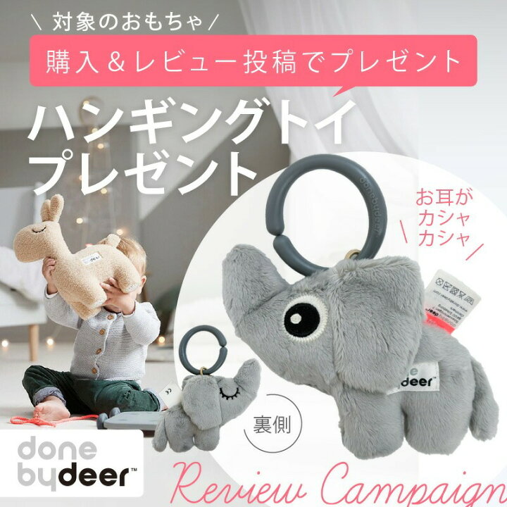 楽天市場】＼レビューでハンギングトイプレゼント／ダンバイディア 