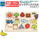 【ラッピング・熨斗無料】正規品　ピックアップパズル　バラエティ BorneLund ボーネルンド　指先あそび 木製玩具 木製おもちゃ 知育玩具 贈り物・ギフト ベビー キッズ【正規取扱店】【メール便送料無料】