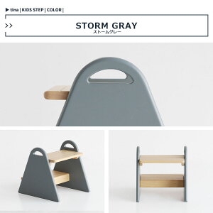 LbY Xebv@eBi@Kids Step -tina- ݑ ؐXebv Xc[ RpNg Vv ސF Lb` ʏ gC q rO `  ؐ LbY ILS-3429y