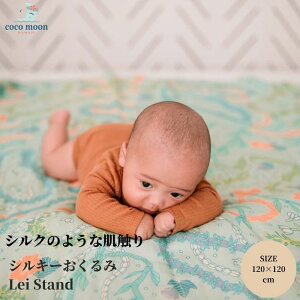 yz Xh RR[ Lei Stand nC uPbg ou[X K[[ xr[ Ԃ  j̎q ̎q  lC xr[Mtg oYj P[
