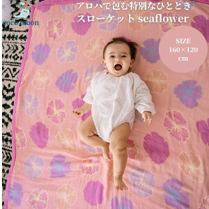 yzuPbg X[Pbg 4dK[[ RR[ seaflower nC ou[X ^IPbg xbhJo[ xr[ LbY l  lC Mtg oYj oY 