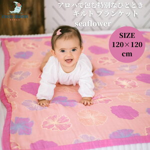 yzuPbg 8dK[[ RR[ seaflower nC ou[X  ^IPbg LguPbg xr[ LbY l  lC Mtg oYj oY 